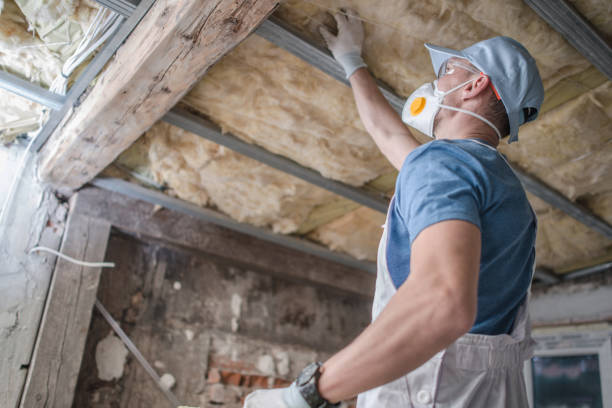 Best Insulation for New Construction  in Moreland Hills, OH