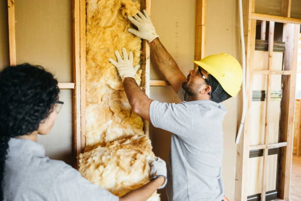 Insulation Replacement Services in Moreland Hills, OH